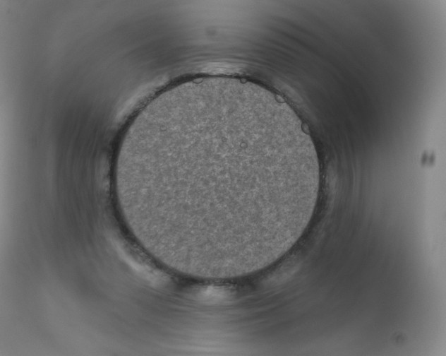 X0000111790303200909031204