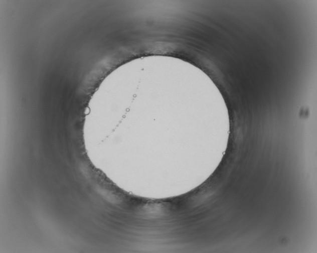 X0000111790307200909031204