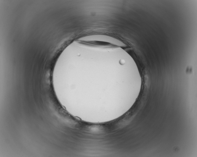 X0000111790308200909031204