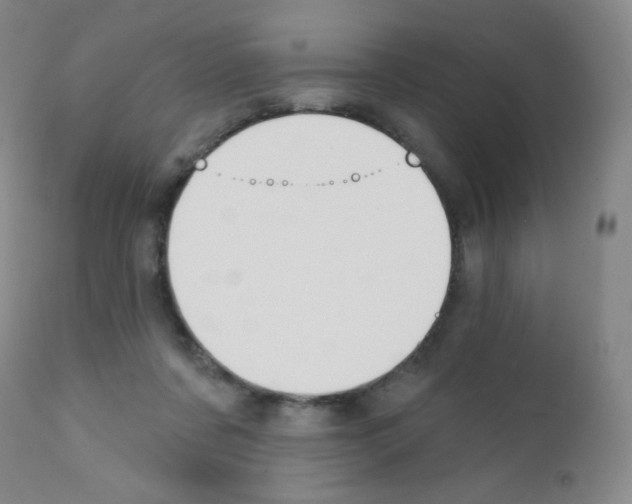 X0000111790311200909031204