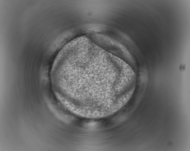 X0000111790312200909031204