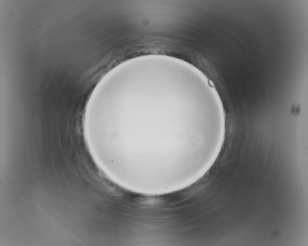 X0000111790313200909031204