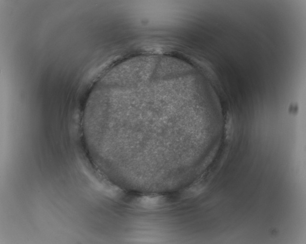 X0000111790314200909031204