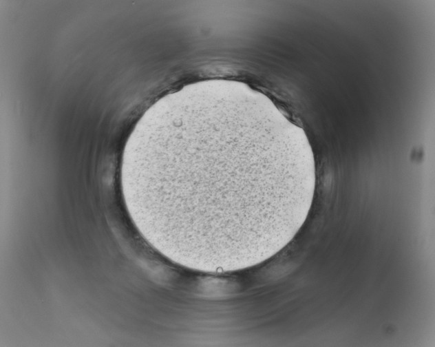 X0000111790315200909031204