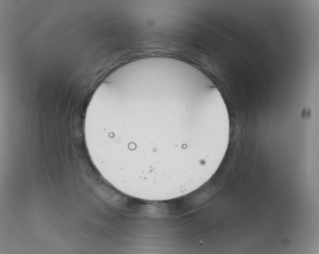 X0000111790317200909031204