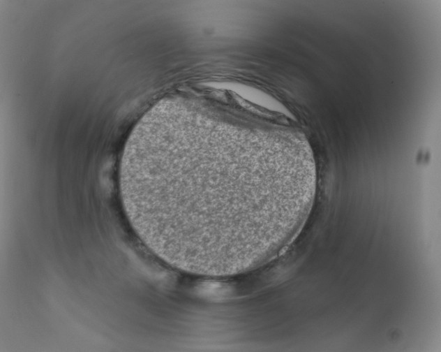 X0000111790319200909031204