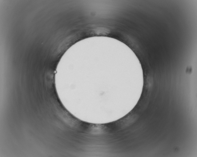 X0000111790321200909031204