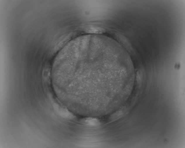 X0000111790322200909031204