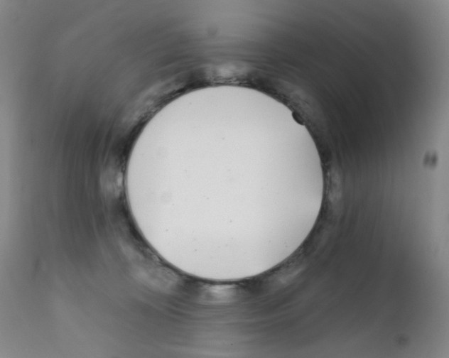 X0000111790324200909031204