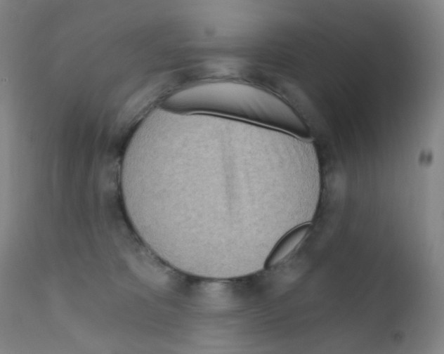 X0000111790325200909031204