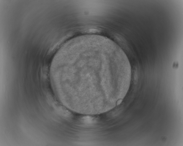 X0000111790326200909031204