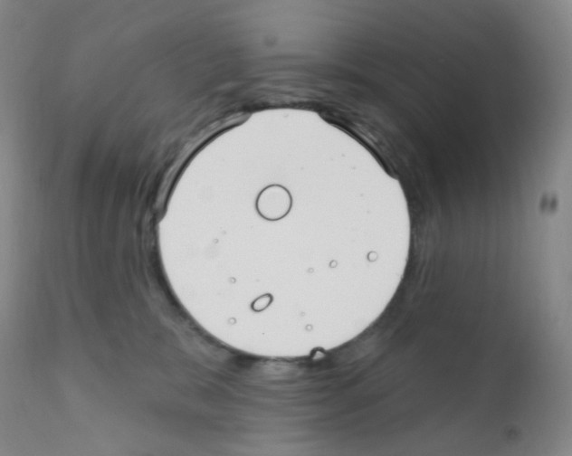 X0000111790327200909031204