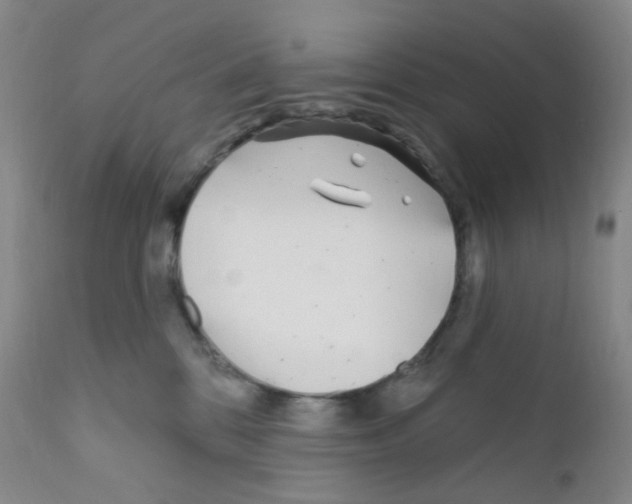 X0000111790328200909031204