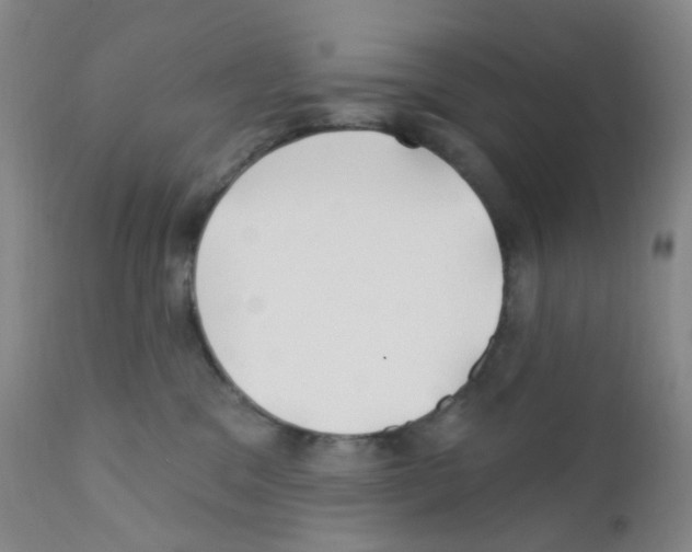 X0000111790329200909031203