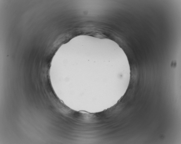 X0000111790333200909031203