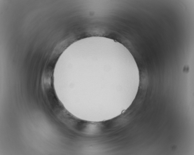 X0000111790334200909031203