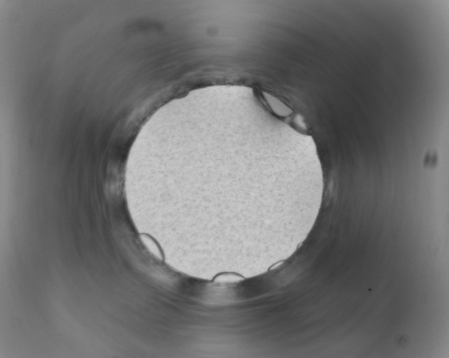 X0000111790335200909031203