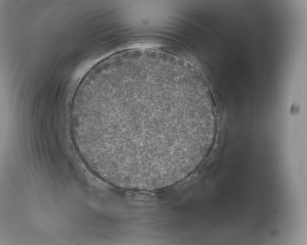 X0000111790337200909031203