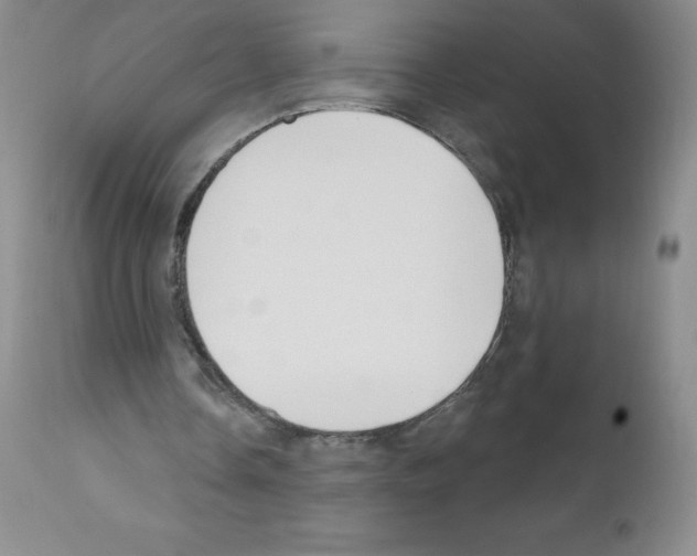 X0000111790338200909031203