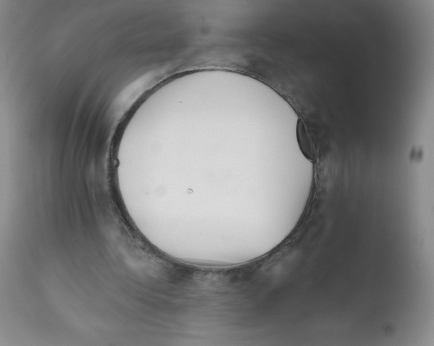 X0000111790340200909031203