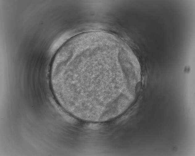 X0000111790341200909031203