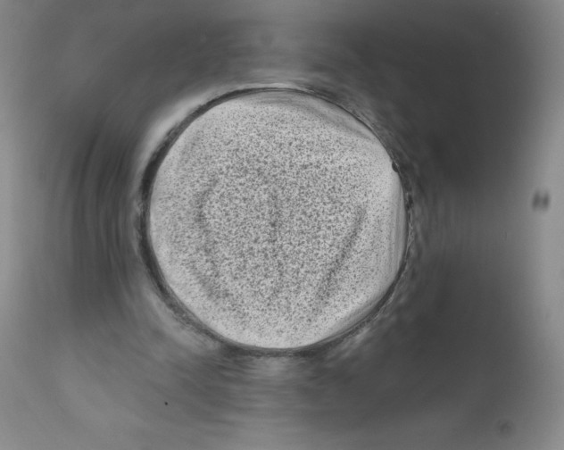 X0000111790342200909031203