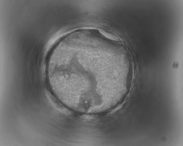 X0000111790343200909031203