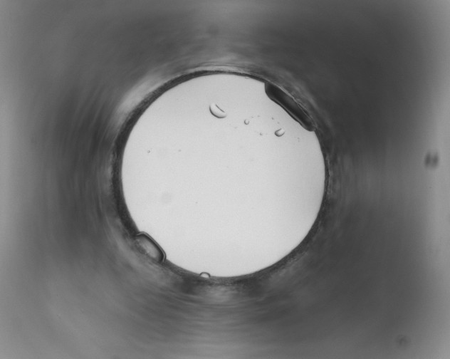 X0000111790344200909031203