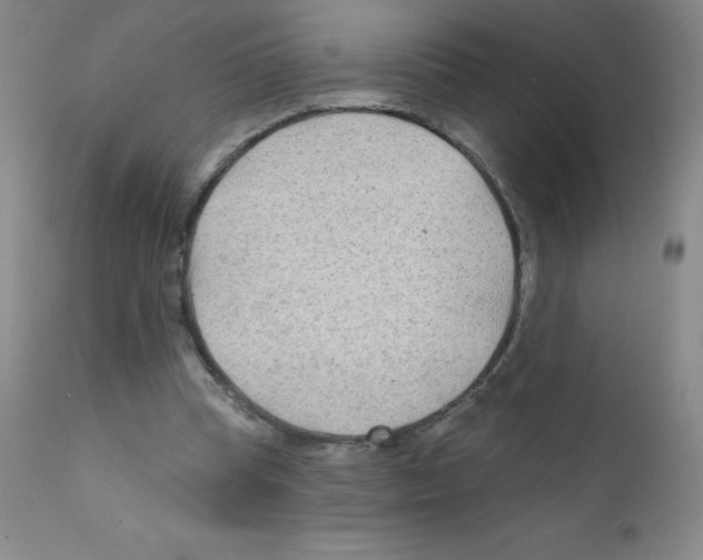 X0000111790345200909031203