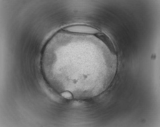 X0000111790346200909031203