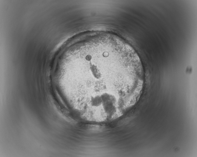 X0000111790347200909031203