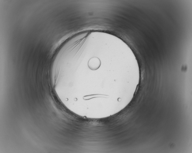 X0000111790348200909031203