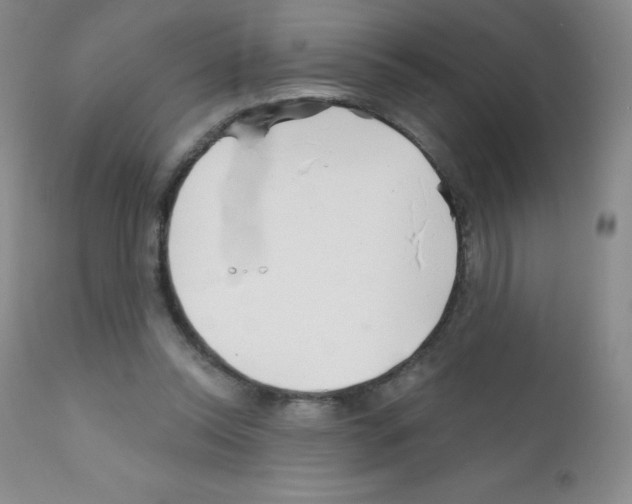 X0000111790350200909031203