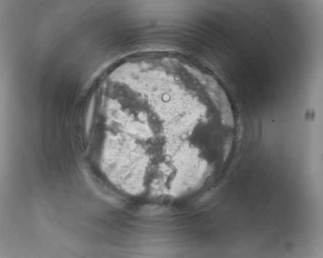 X0000111790351200909031203