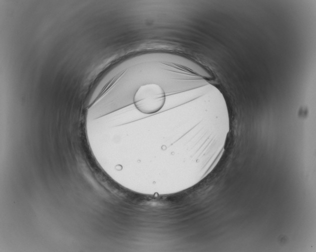 X0000111790352200909031203