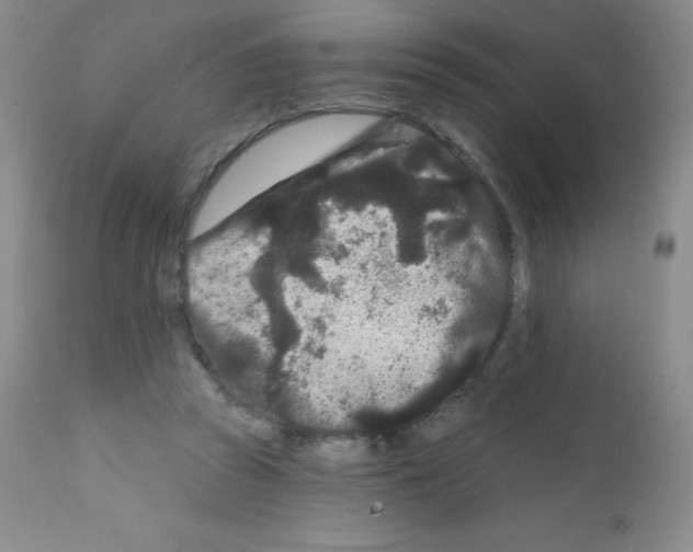 X0000111790353200909031203