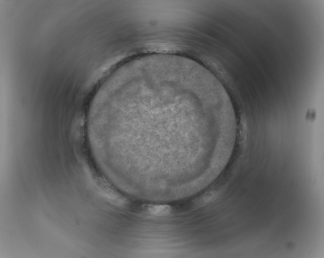 X0000111790355200909031203