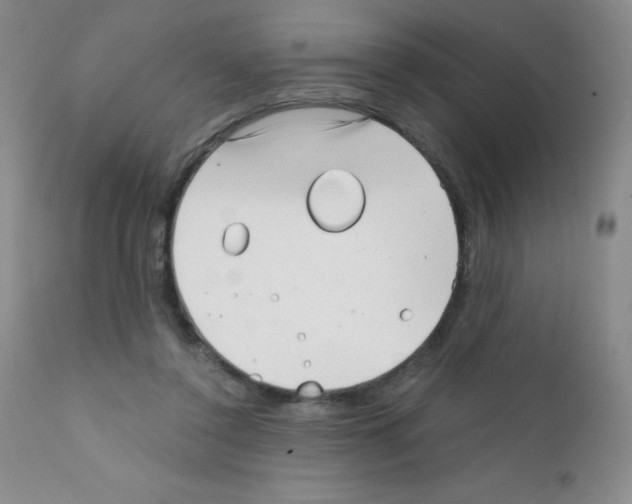 X0000111790356200909031203