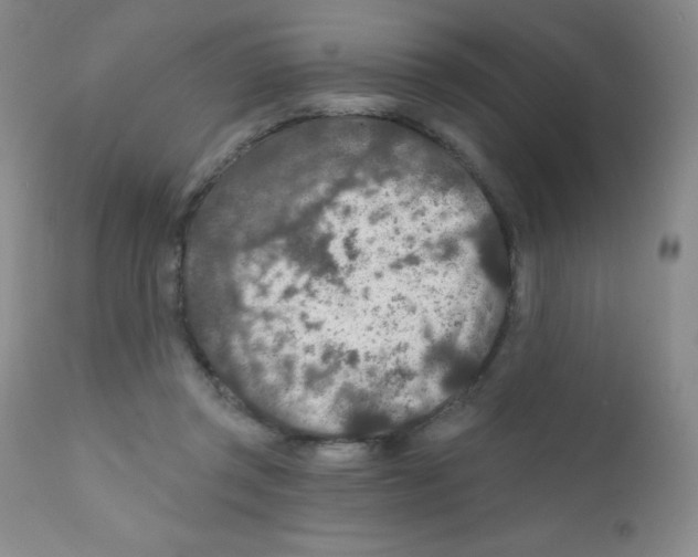 X0000111790357200909031203