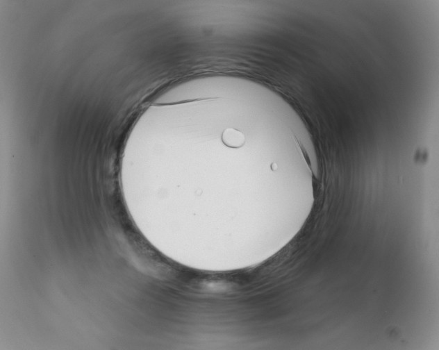 X0000111790360200909031203