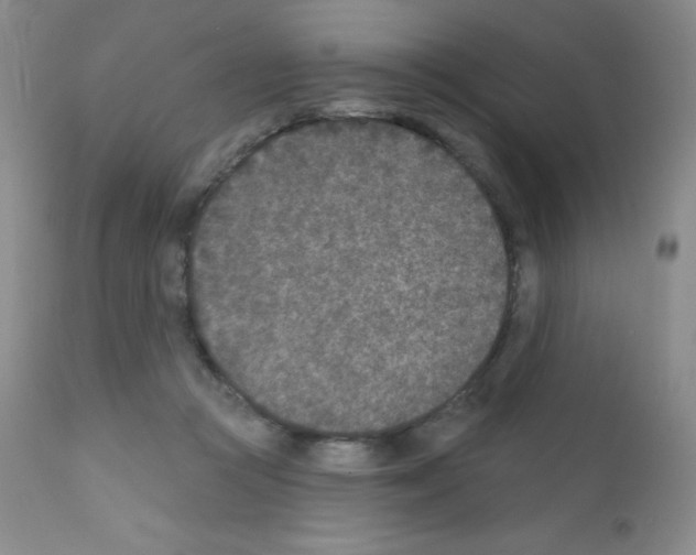 X0000111790361200909031203