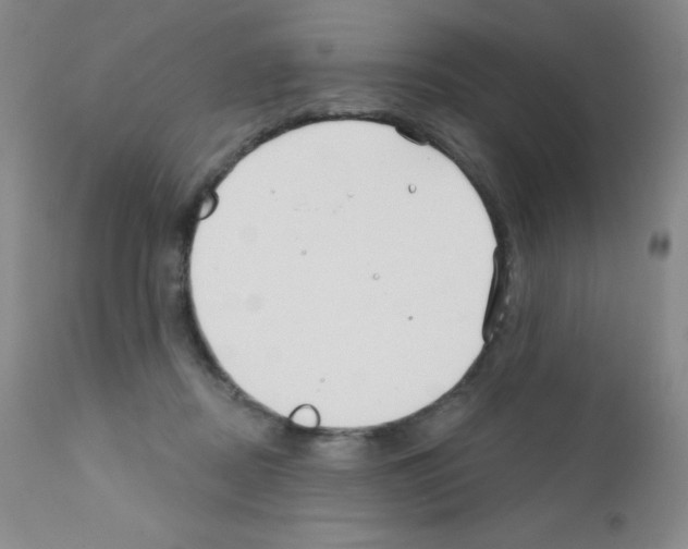 X0000111790362200909031203