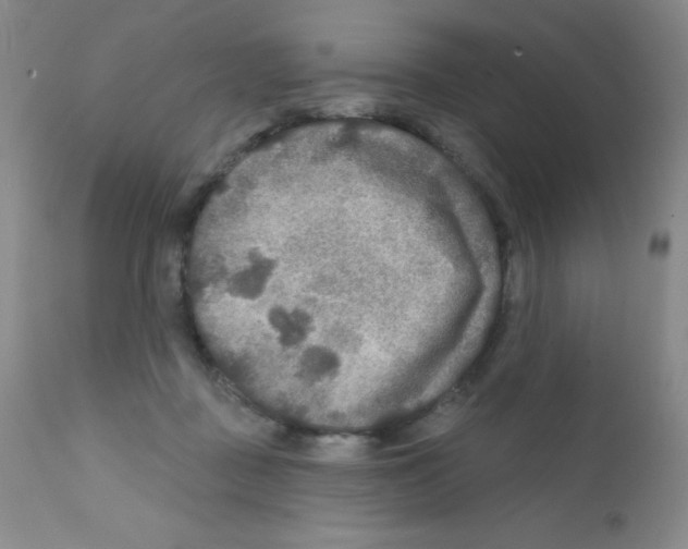 X0000111790363200909031203