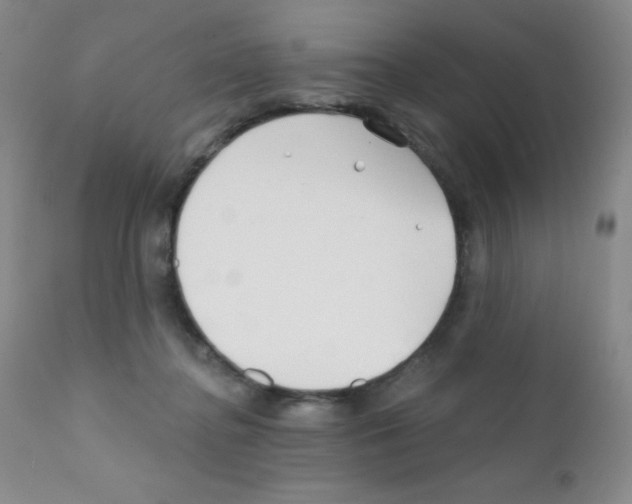 X0000111790364200909031203