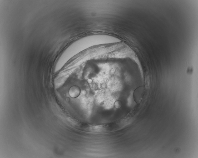 X0000111790365200909031203