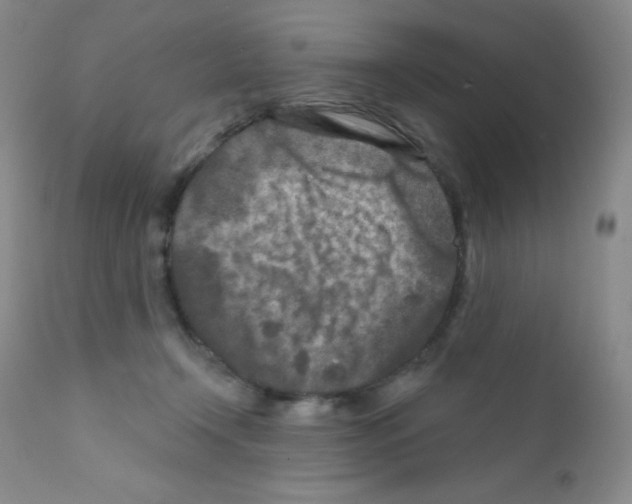 X0000111790366200909031203