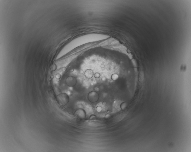 X0000111790367200909031203