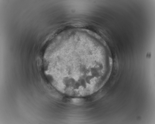 X0000111790371200909031203