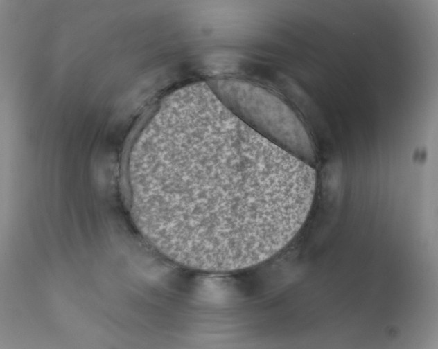 X0000111790372200909031203