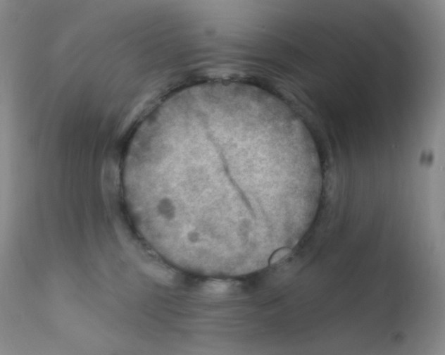 X0000111790375200909031203